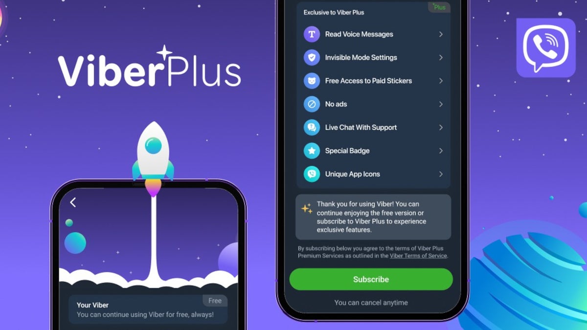 Discord follower growth